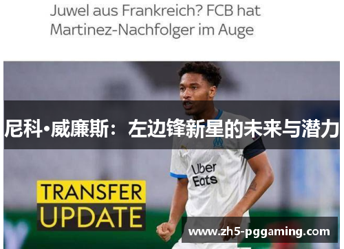 尼科·威廉斯：左边锋新星的未来与潜力