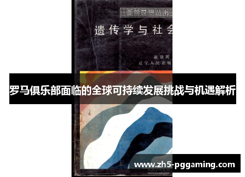 罗马俱乐部面临的全球可持续发展挑战与机遇解析