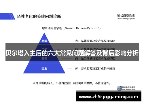 贝尔塔入主后的六大常见问题解答及背后影响分析 贝尔塔入主后的六大常见问题解答及背后影响分析