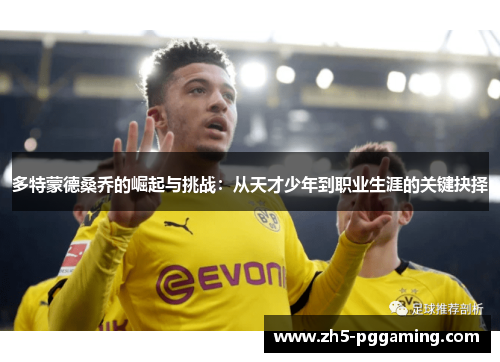 多特蒙德桑乔的崛起与挑战：从天才少年到职业生涯的关键抉择