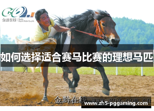 如何选择适合赛马比赛的理想马匹