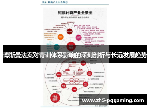 博斯曼法案对青训体系影响的深刻剖析与长远发展趋势