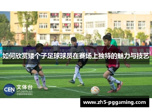 如何欣赏矮个子足球球员在赛场上独特的魅力与技艺