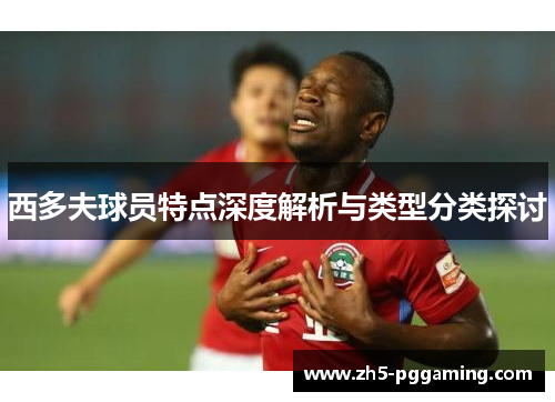 西多夫球员特点深度解析与类型分类探讨